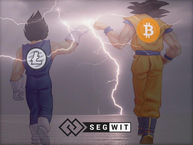 Bitcoin and Litecoin SegWit Wallet, credits @Frankieboy93